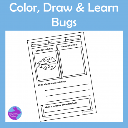 Color Draw and Learn Bugs Doodle Activity Pages
